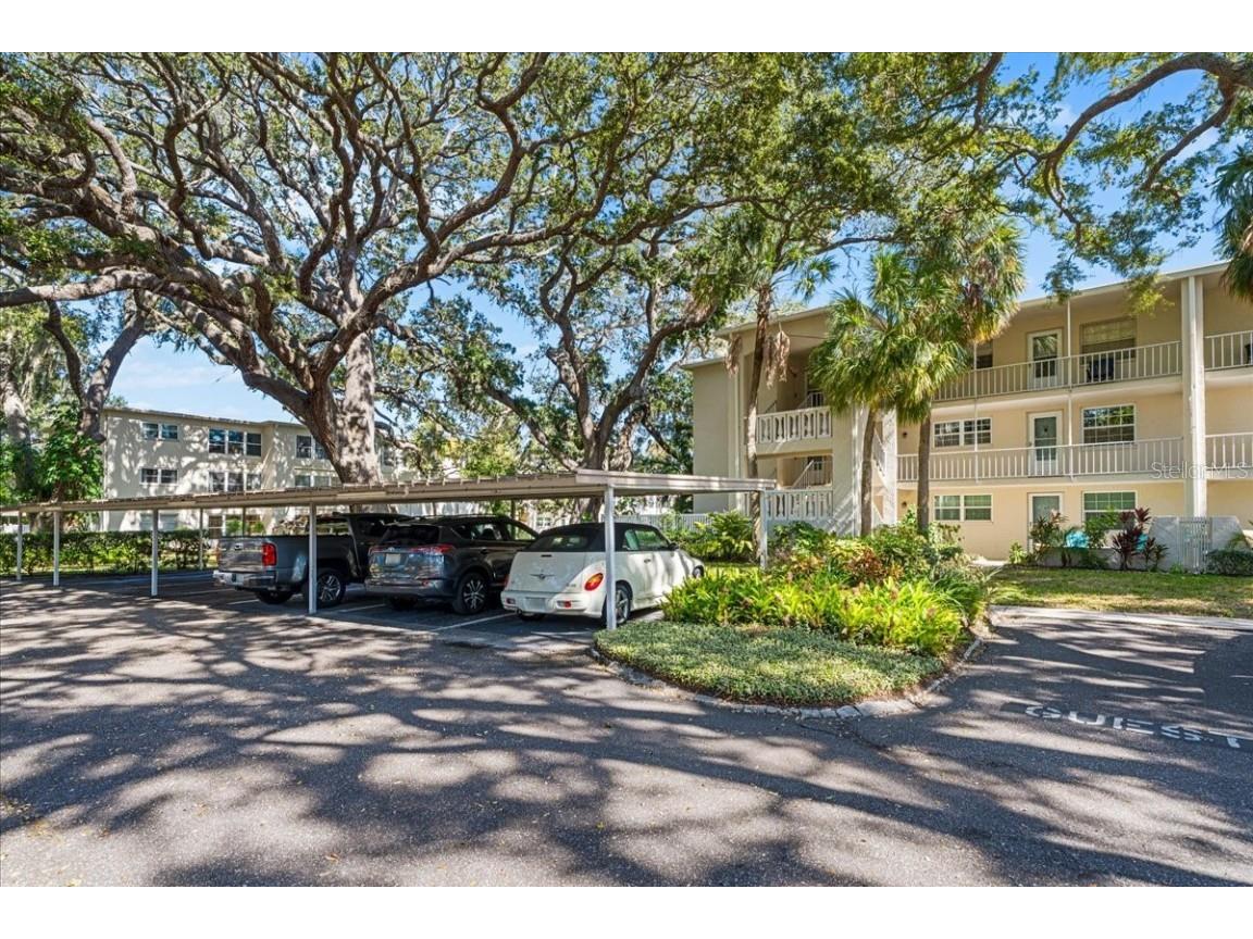 821 Patricia Avenue #202 Dunedin FL 34698 TB8444789 image2