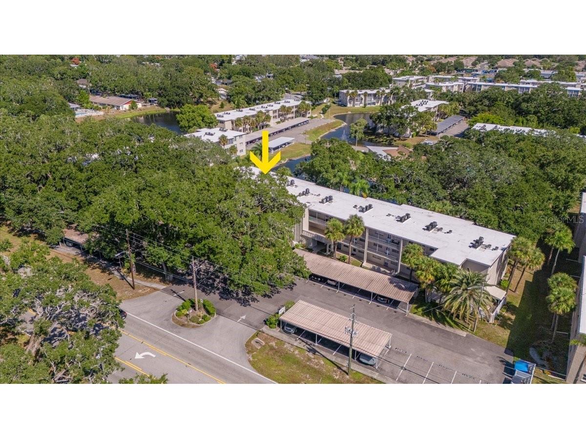 821 Patricia Avenue #202 Dunedin FL 34698 TB8444789 image24