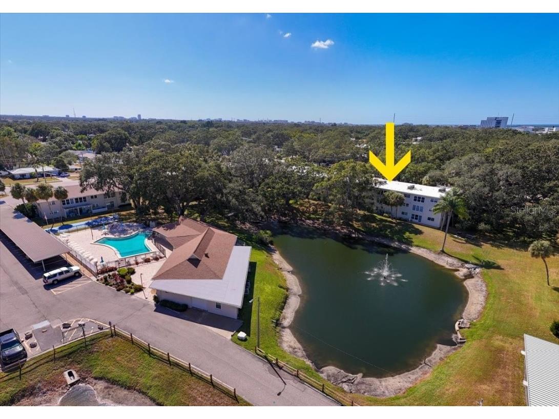 821 Patricia Avenue #202 Dunedin FL 34698 TB8444789 image25