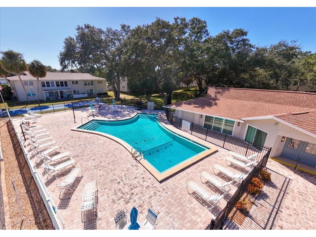 821 Patricia Avenue #202 Dunedin FL 34698 TB8444789 image26