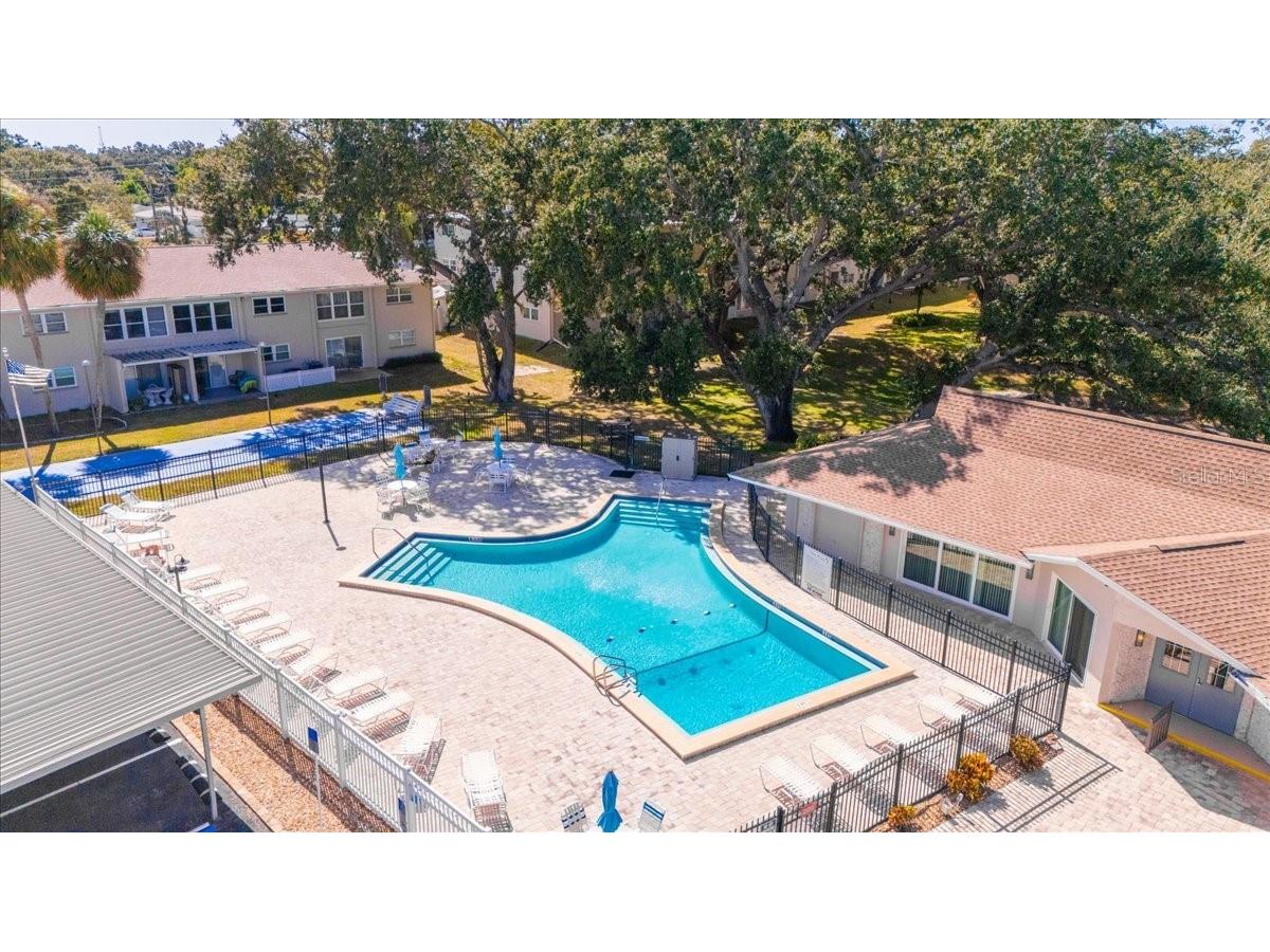 821 Patricia Avenue #202 Dunedin FL 34698 TB8444789 image27