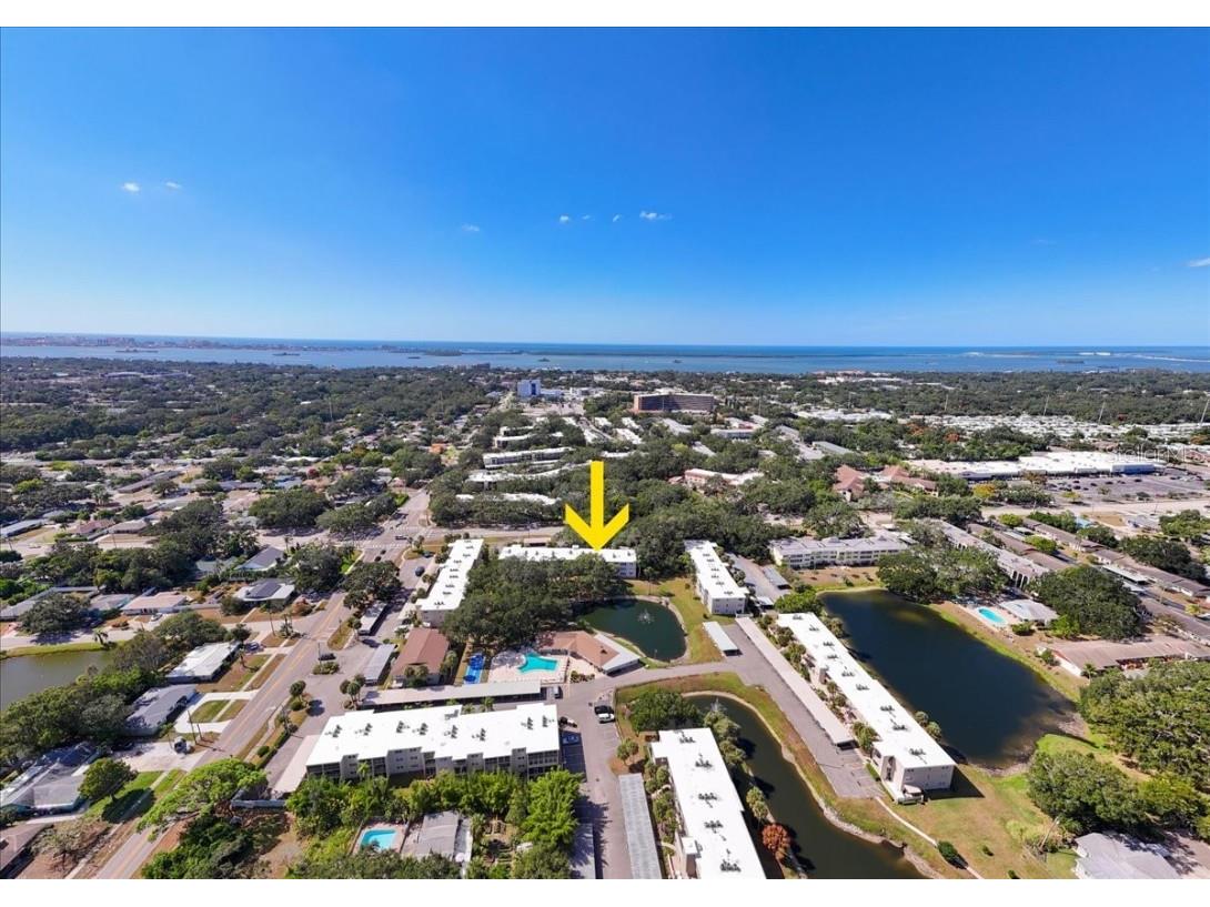 821 Patricia Avenue #202 Dunedin FL 34698 TB8444789 image29