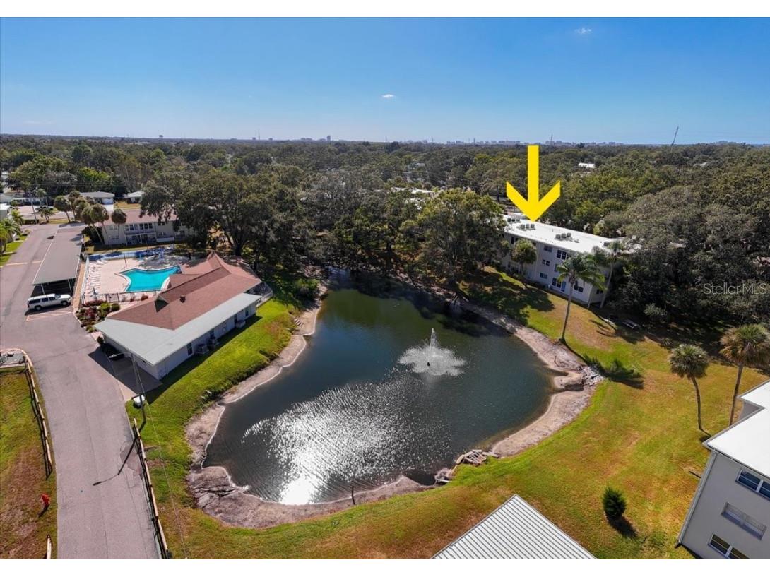 821 Patricia Avenue #202 Dunedin FL 34698 TB8444789 image30