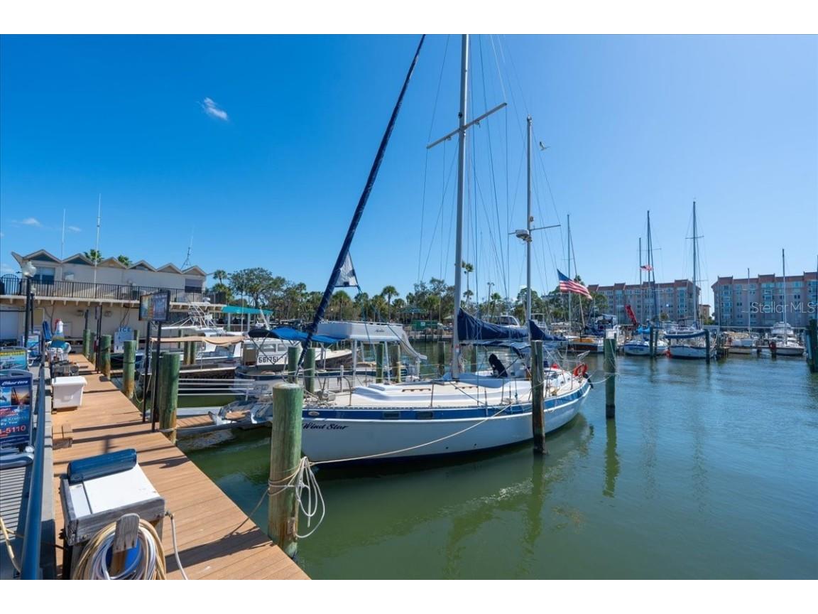 821 Patricia Avenue #202 Dunedin FL 34698 TB8444789 image31