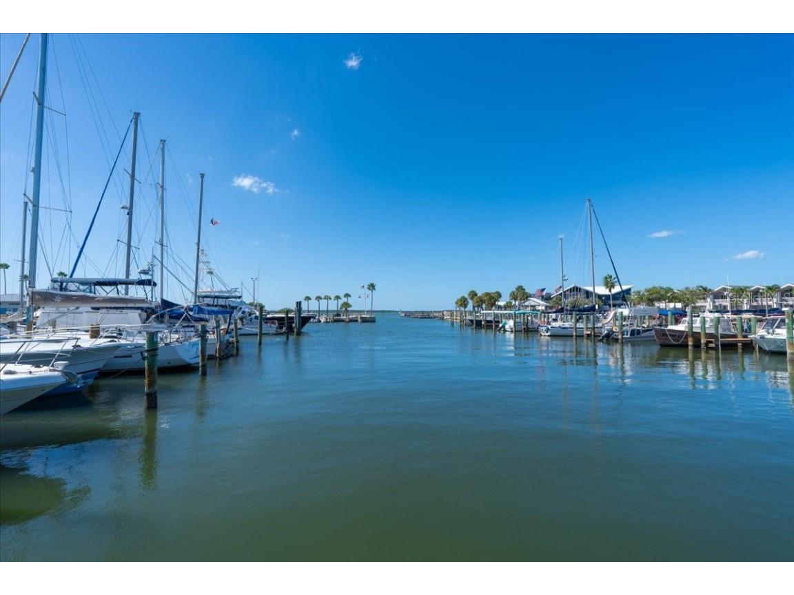 821 Patricia Avenue #202 Dunedin FL 34698 TB8444789 image32