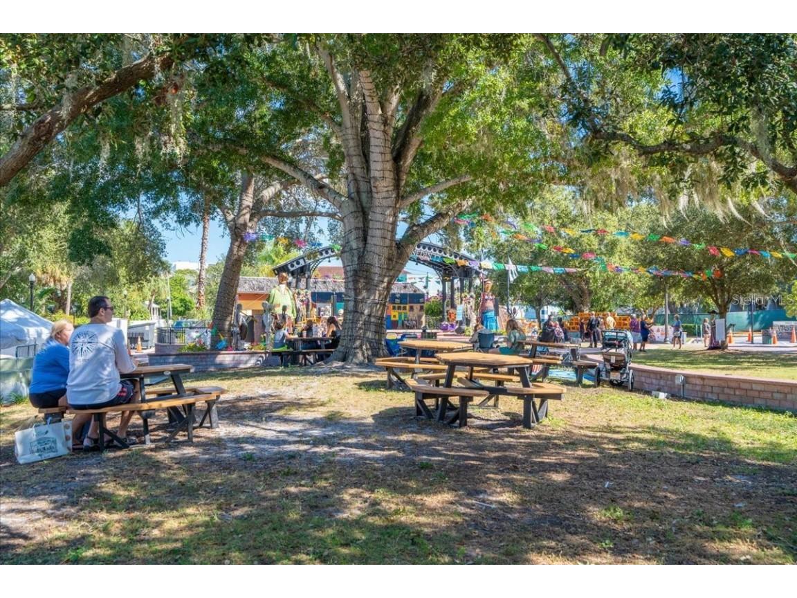 821 Patricia Avenue #202 Dunedin FL 34698 TB8444789 image35