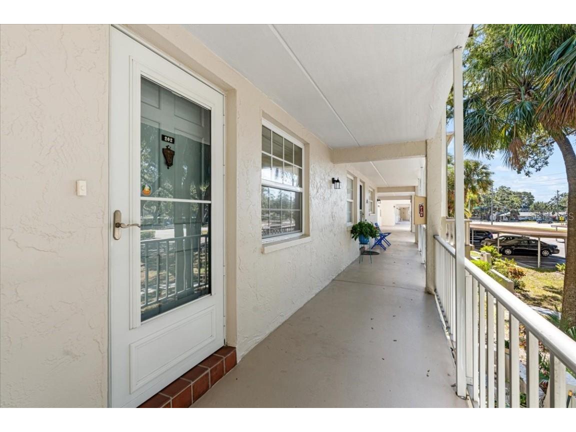 821 Patricia Avenue #202 Dunedin FL 34698 TB8444789 image5