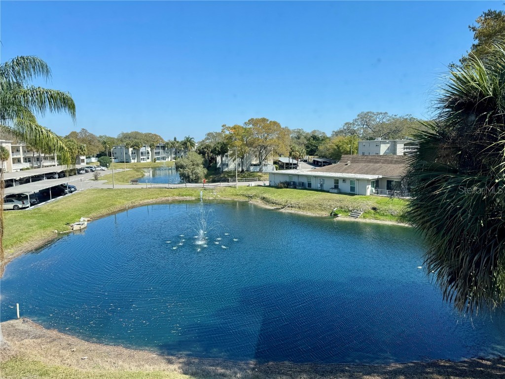 821 Patricia Avenue #301 Dunedin FL 34698 U8231910 image1