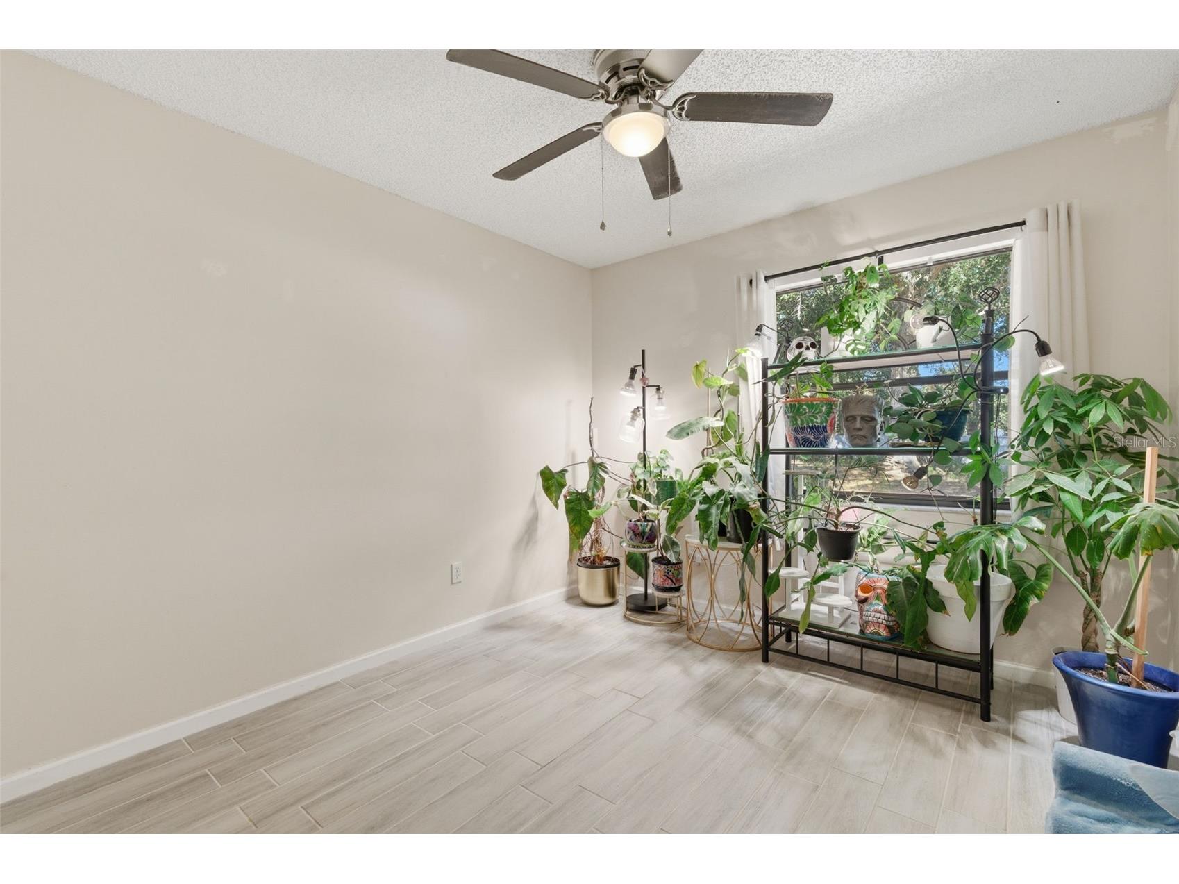 821 Pine Street Tarpon Springs FL 34689 TB8472412 image15