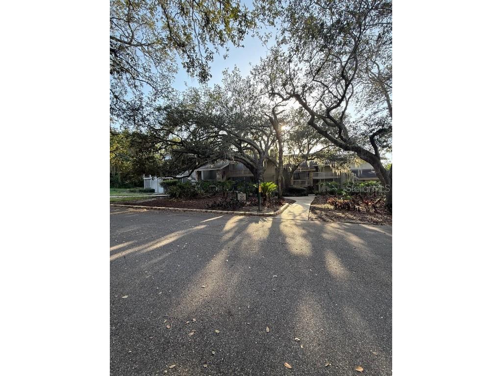 821 Pinewood Court #3111 Haines City FL 33844 O6365623 image2