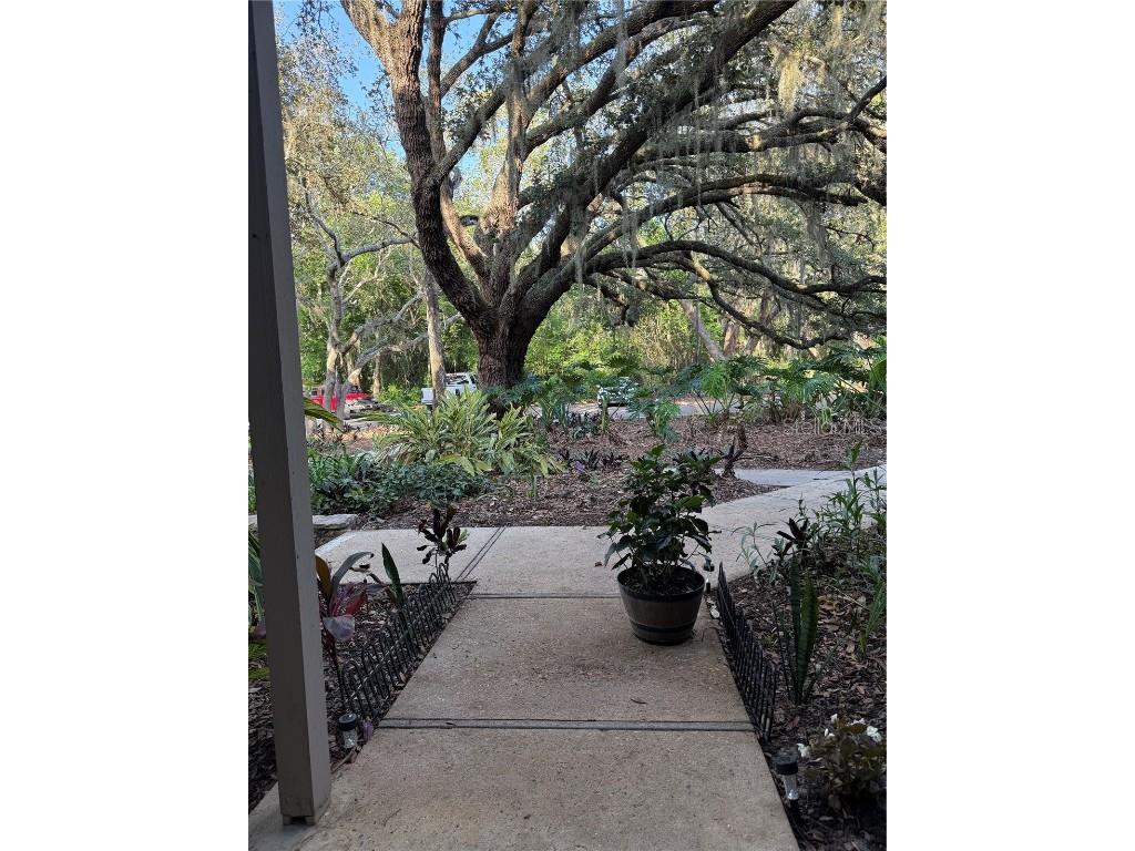 821 Pinewood Court #821 Haines City FL 33844 O6310480 image32