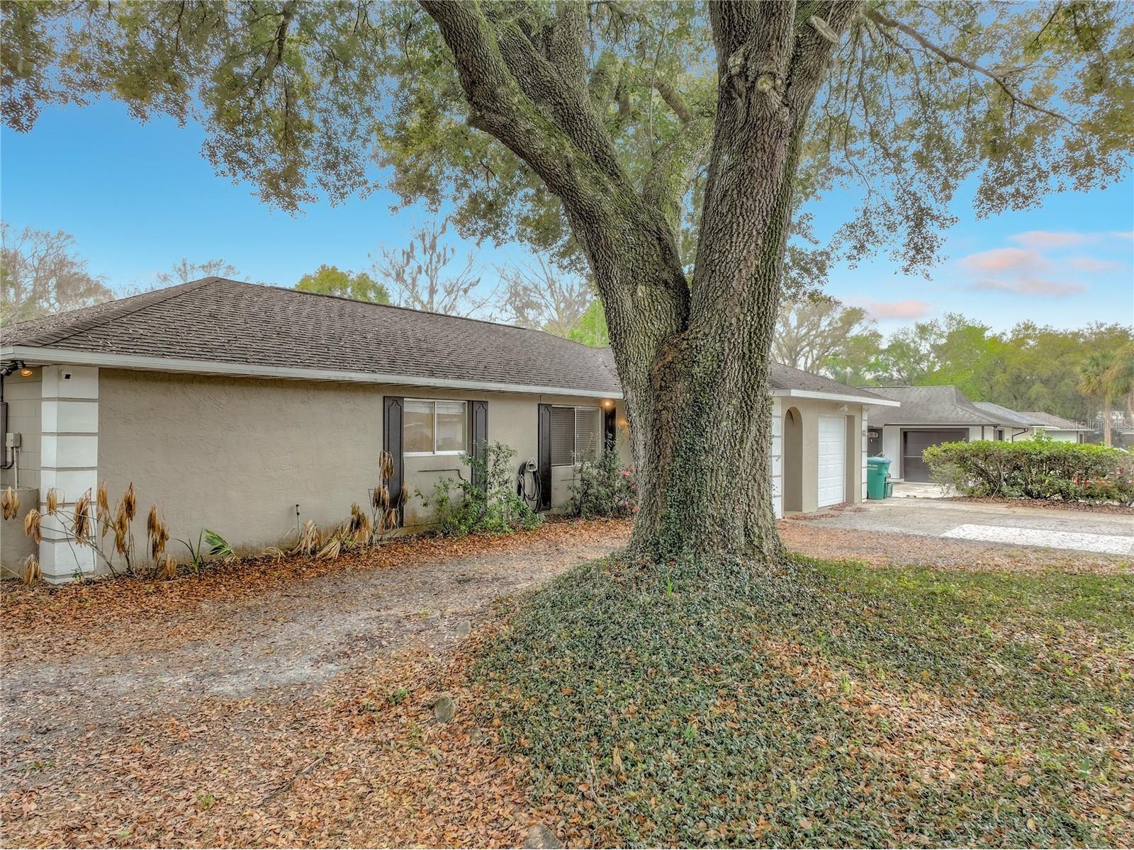821 Raven Avenue Longwood FL 32750 O6385579 image53