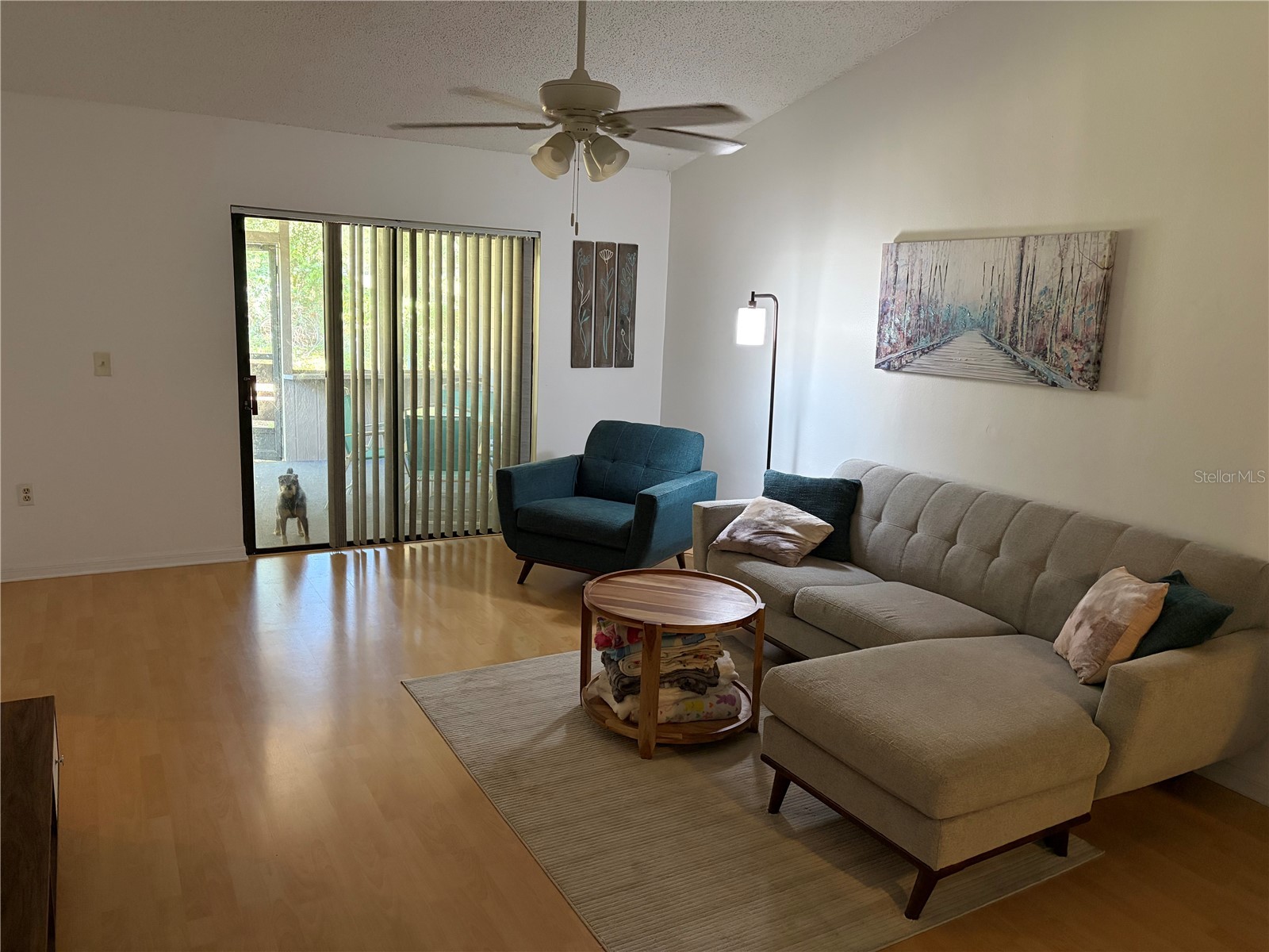 821 Sleepy Harbour Drive Ocoee FL 34761 O6427602 image4