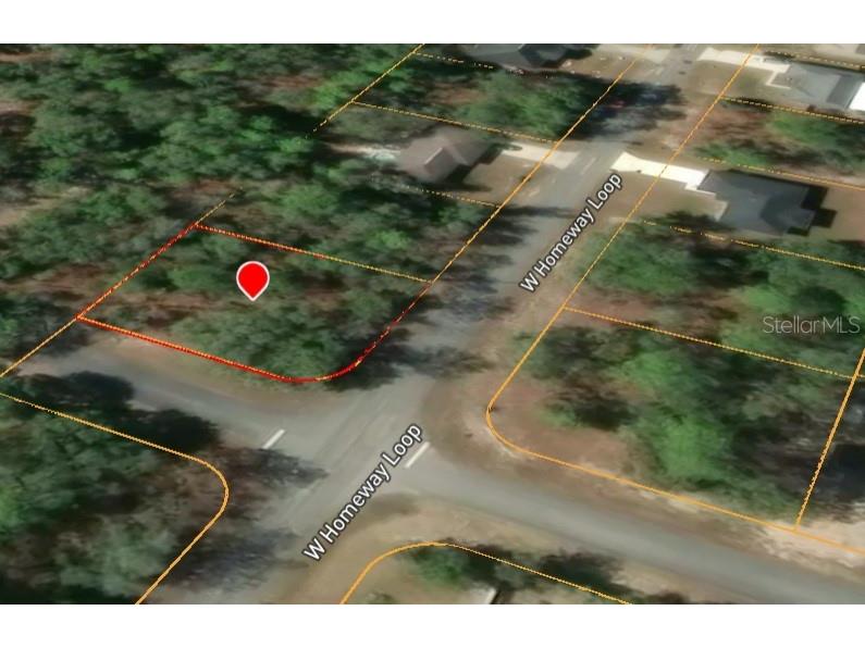 821 W Homeway Loop Citrus Springs FL 34434 TB8517080 image2