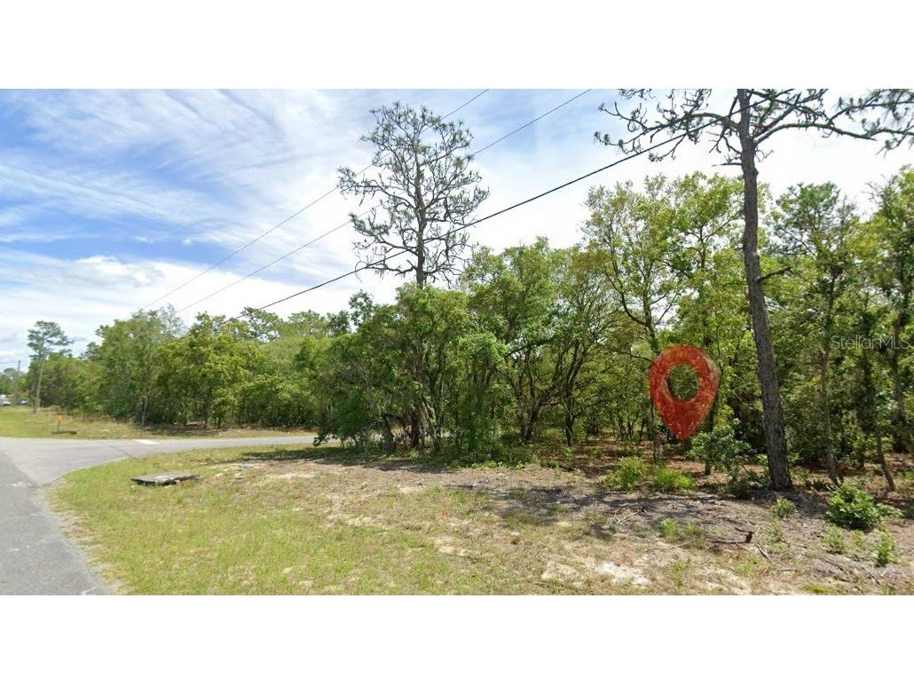 821 W Homeway Loop Citrus Springs FL 34434 TB8517080 image3