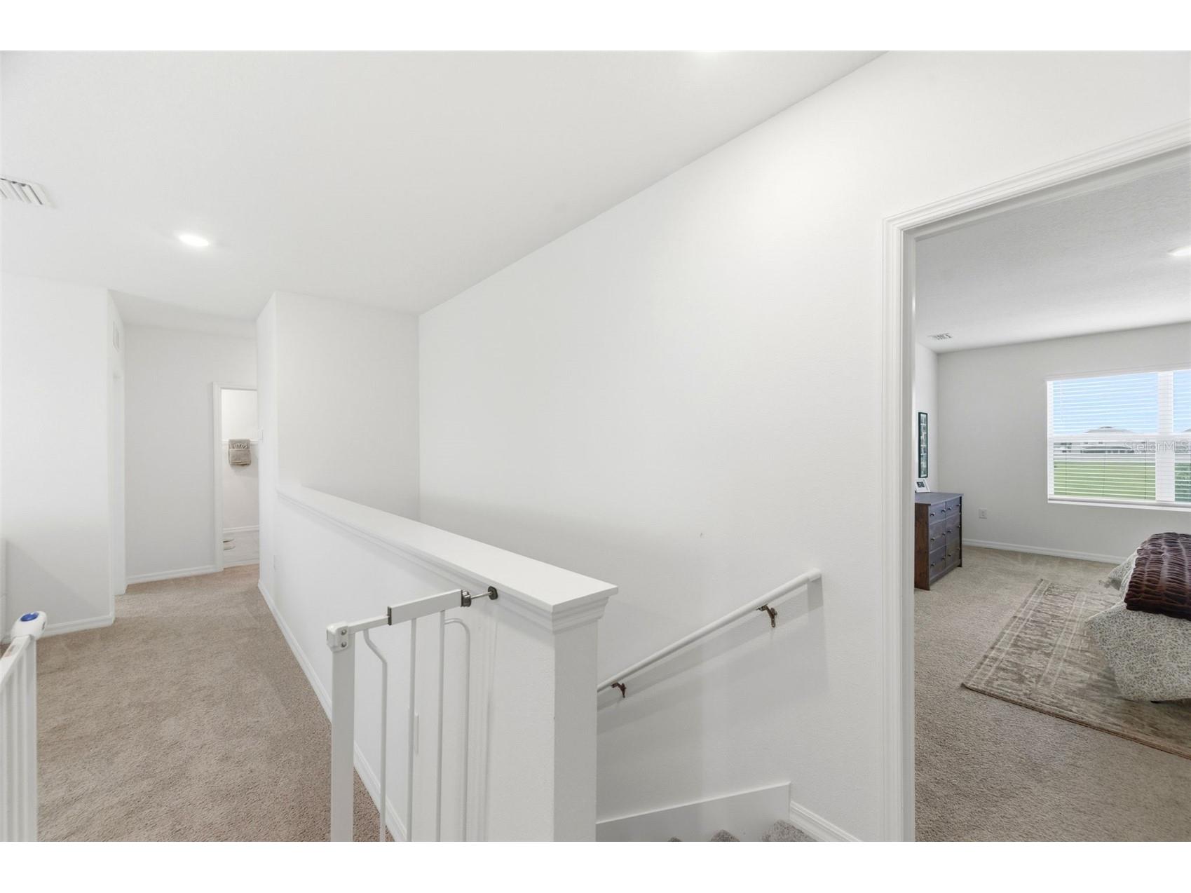 8210 Dolphin Bluff Boulevard Wesley Chapel FL 33545 TB8517145 image30