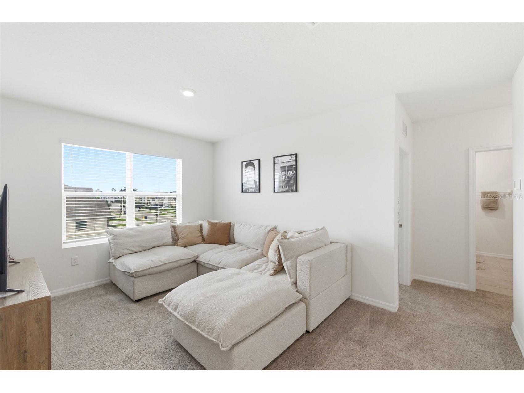 8210 Dolphin Bluff Boulevard Wesley Chapel FL 33545 TB8517145 image32