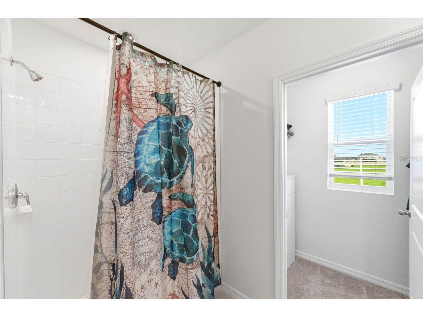 8210 Dolphin Bluff Boulevard Wesley Chapel FL 33545 TB8517145 image42