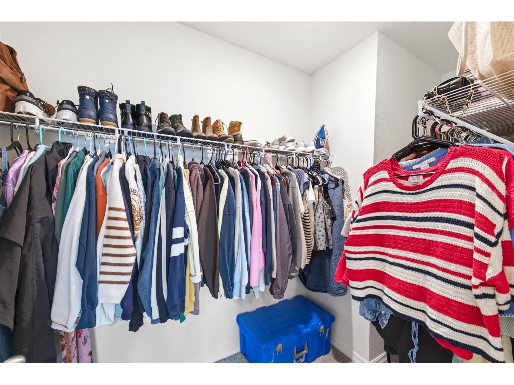 8210 Dolphin Bluff Boulevard Wesley Chapel FL 33545 TB8517145 image44