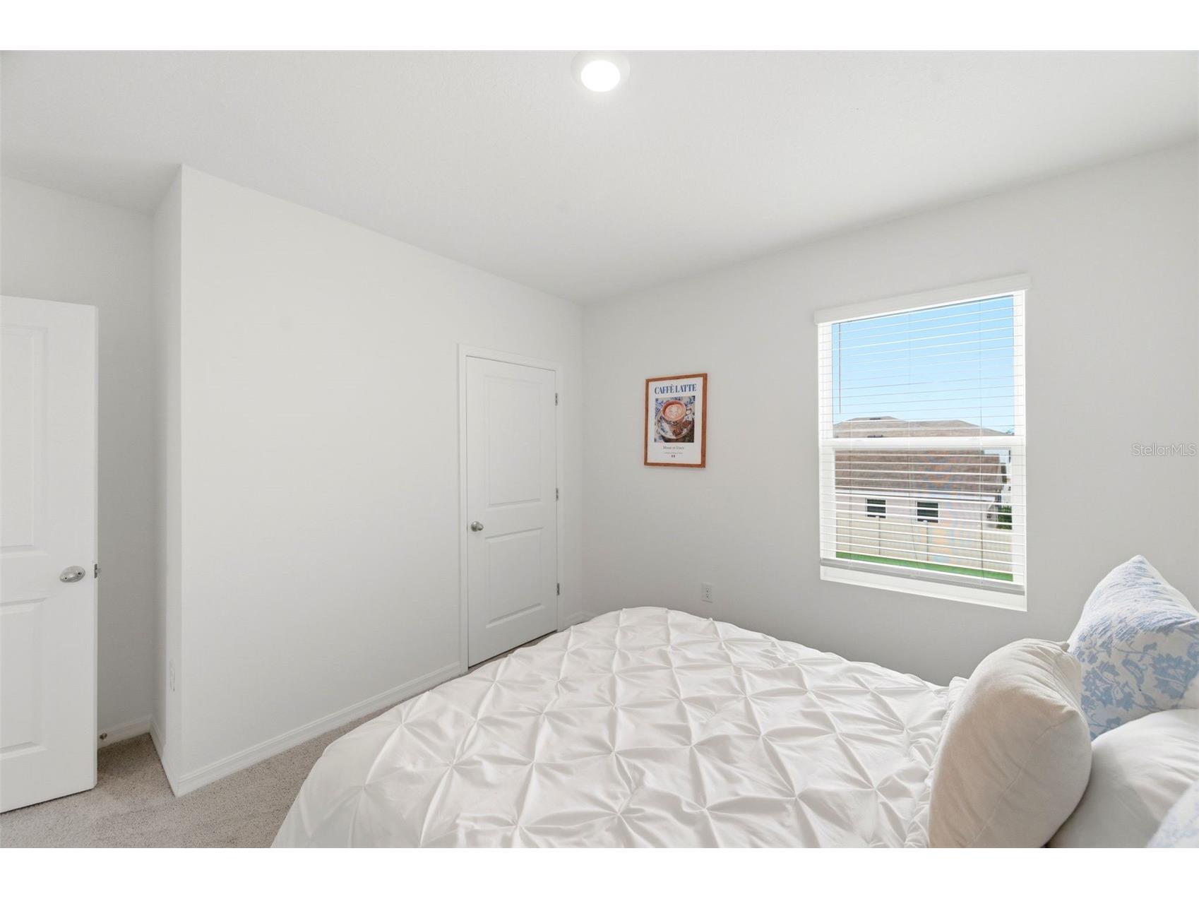 8210 Dolphin Bluff Boulevard Wesley Chapel FL 33545 TB8517145 image49