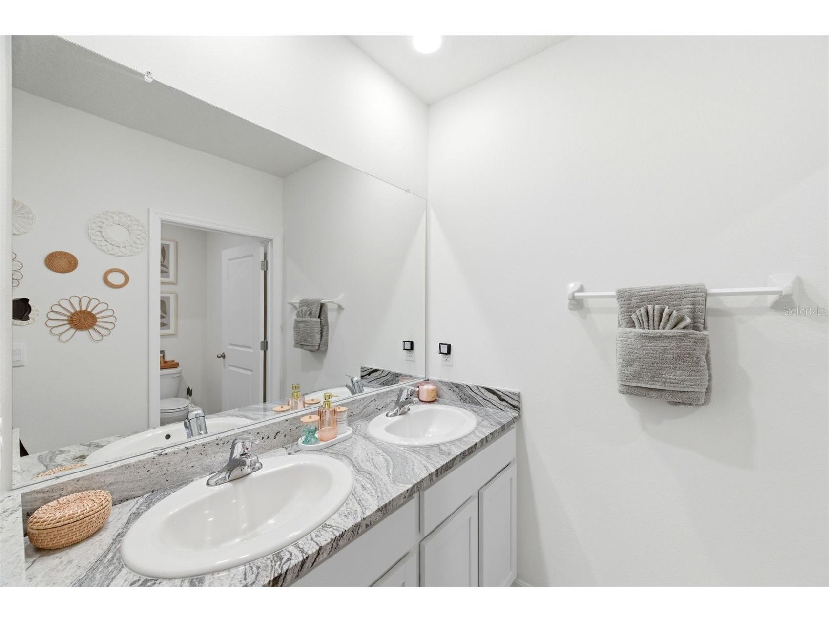 8210 Dolphin Bluff Boulevard Wesley Chapel FL 33545 TB8517145 image56