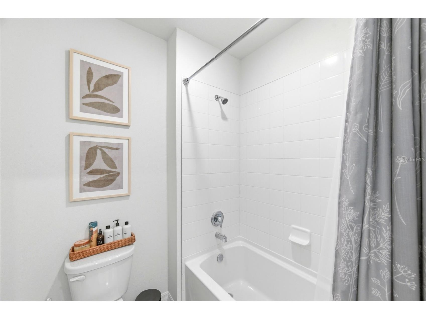 8210 Dolphin Bluff Boulevard Wesley Chapel FL 33545 TB8517145 image57