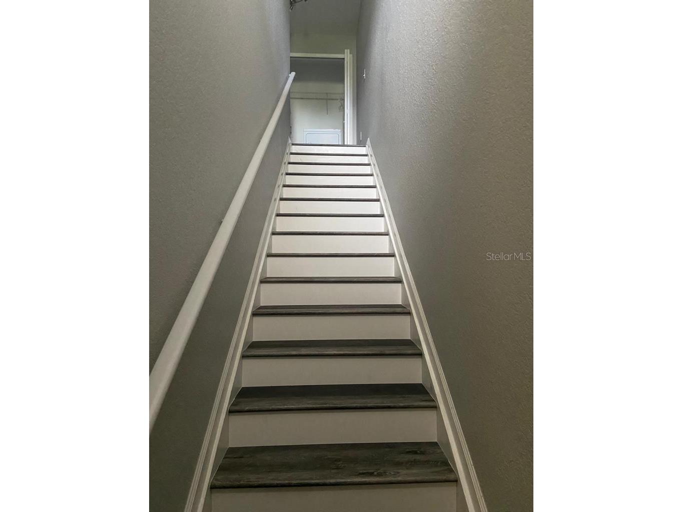 8210 Down Royal Road Tampa FL 33610 TB8492229 image19