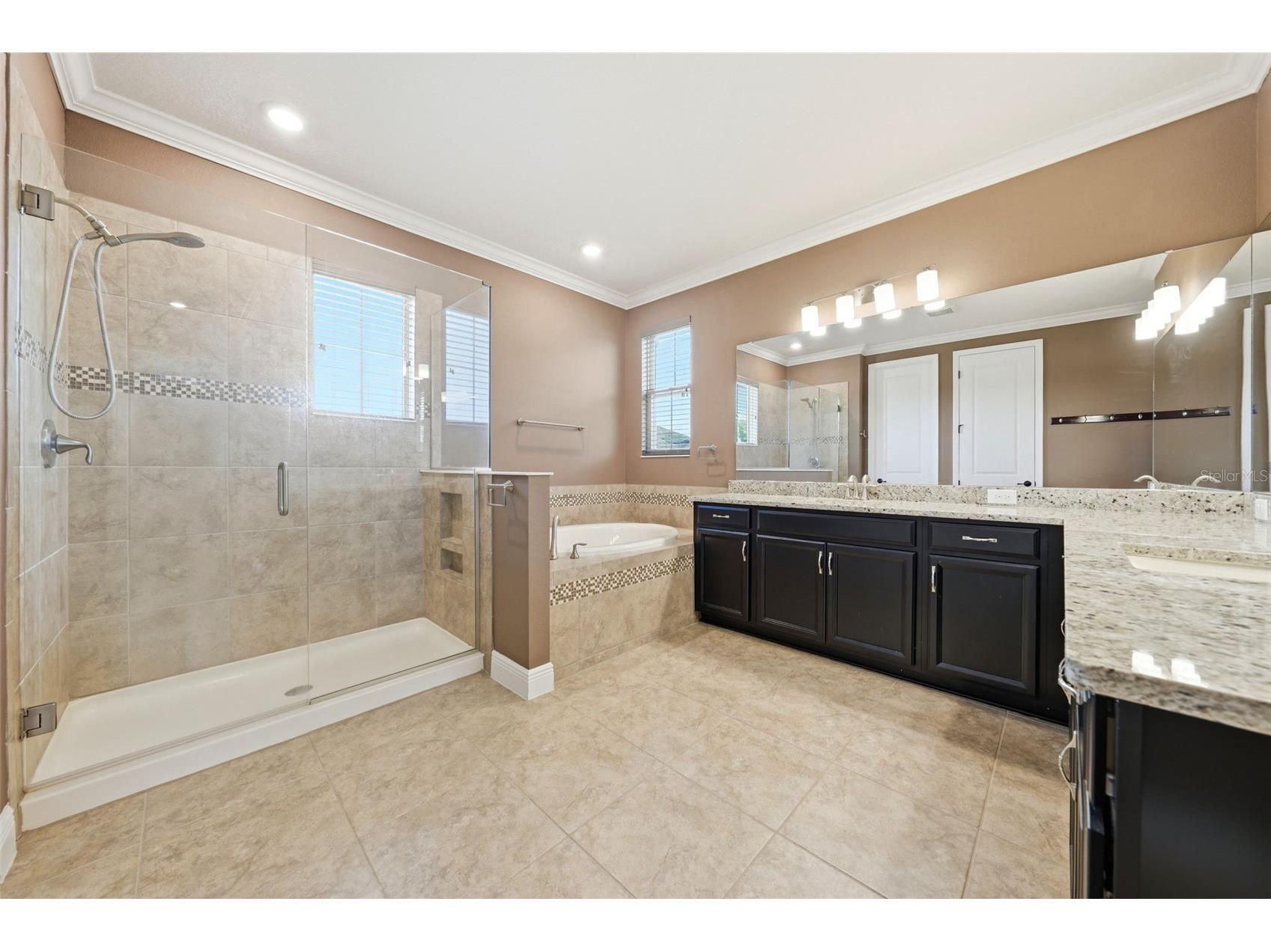 8210 Ludington Circle Orlando FL 32836 O6412891 image49