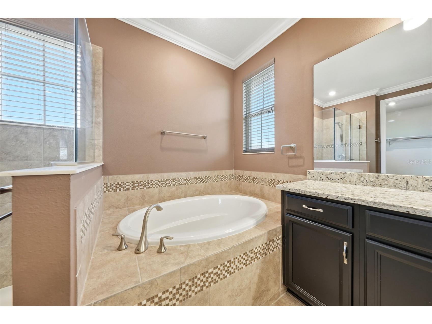 8210 Ludington Circle Orlando FL 32836 O6412891 image50