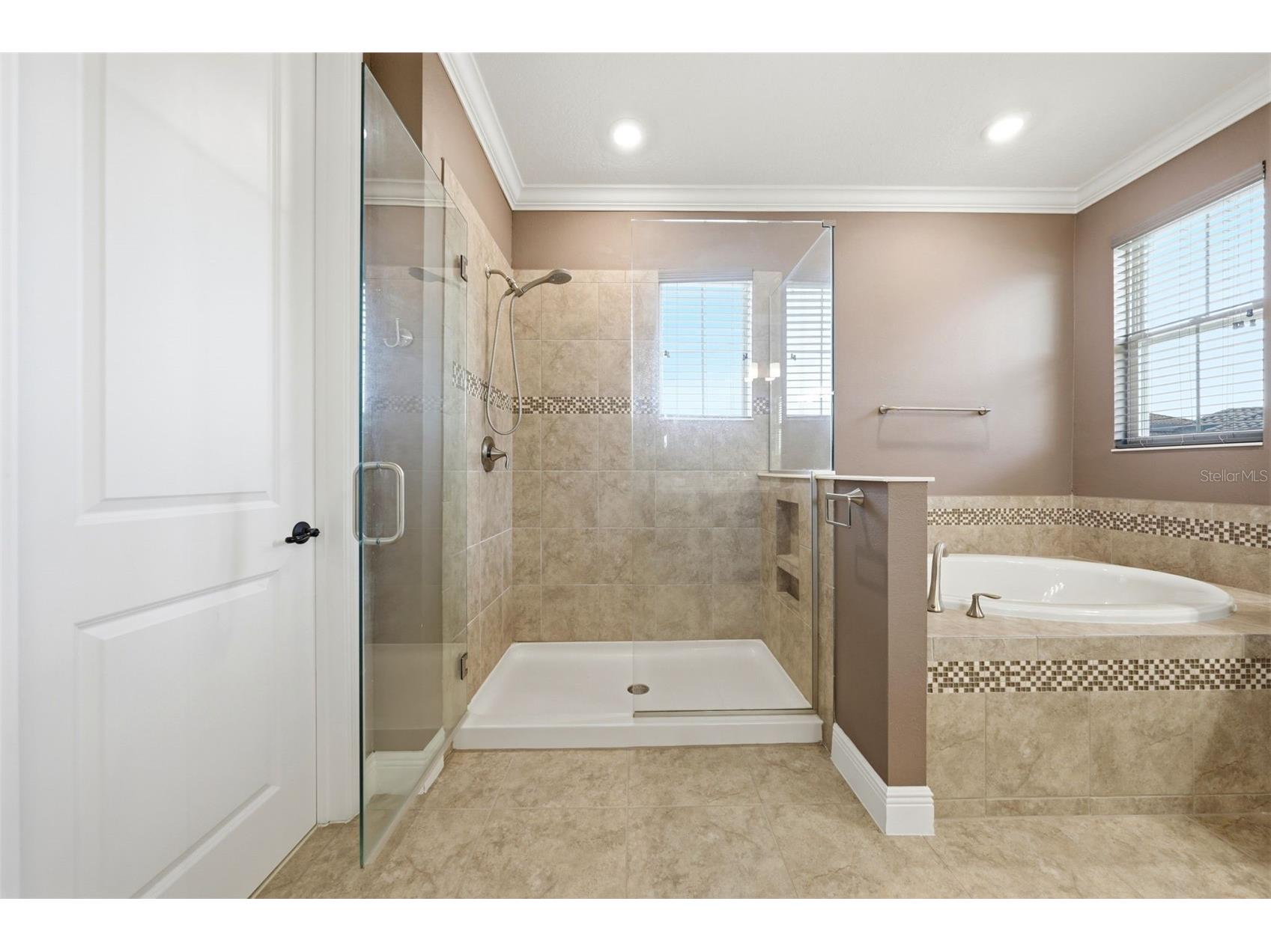 8210 Ludington Circle Orlando FL 32836 O6412891 image52
