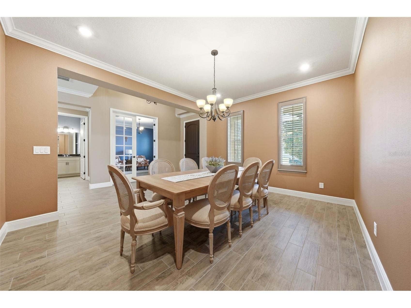 8210 Ludington Circle Orlando FL 32836 O6412891 image9