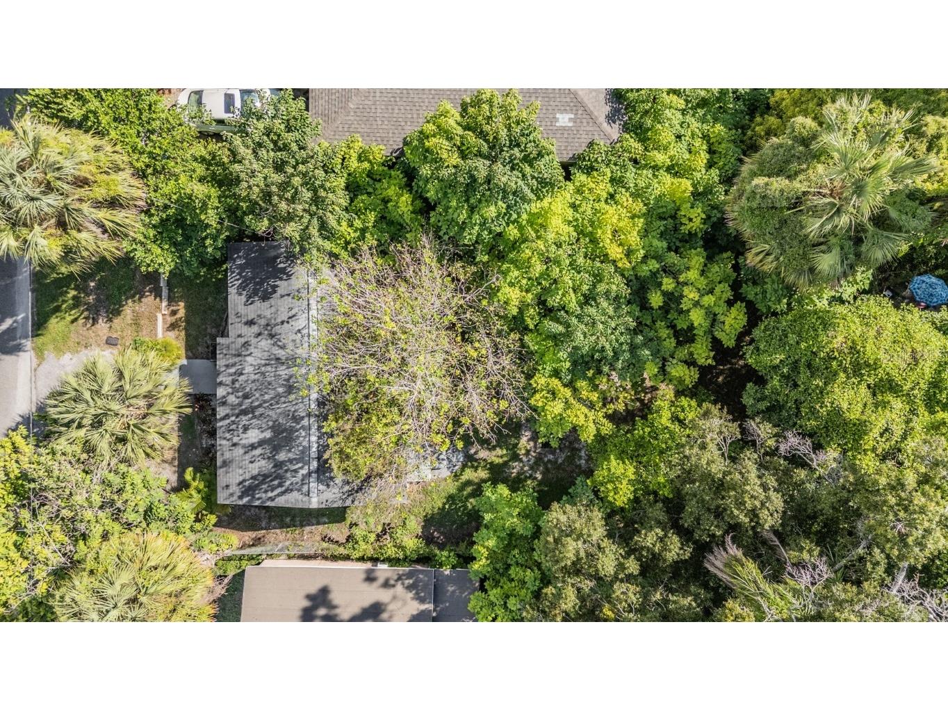 8210 N 10th Street Tampa FL 33604 TB8432576 image28