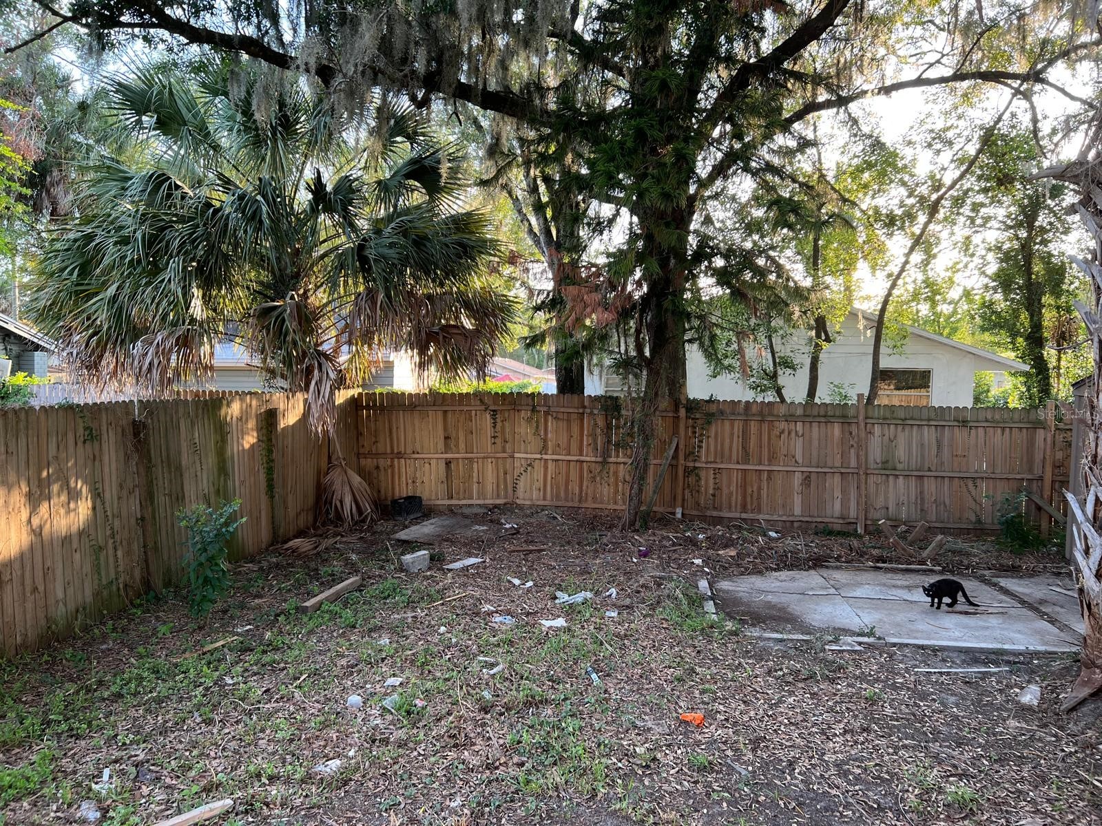 8210 N 13th Street Tampa FL 33604 TB8516883 image19