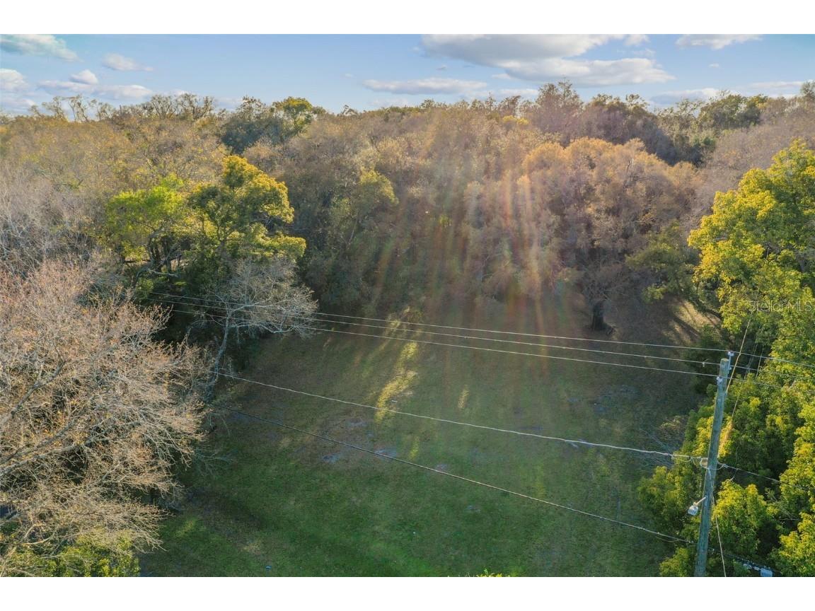 8210 N Orleans Avenue #1/2 Tampa FL 33604 T3505277 image1