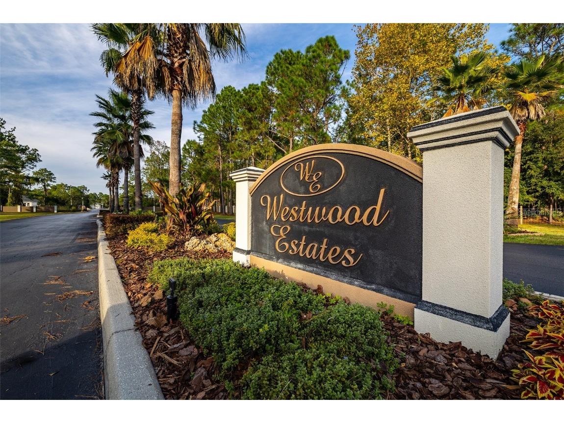 8210 Spring Forest Lane Wesley Chapel FL 33544 T3338850 image1