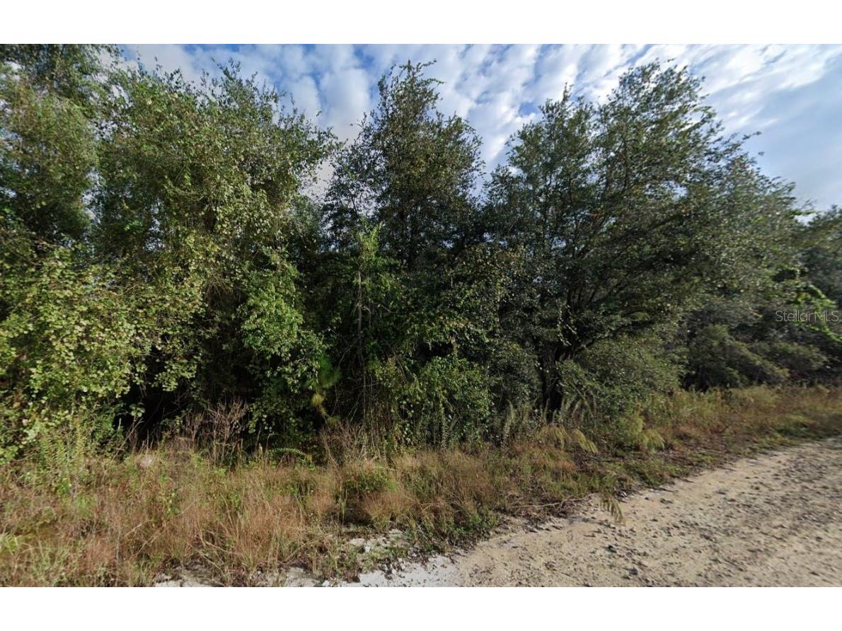 8210 Treiman Boulevard Webster FL 33597 J973197 image1