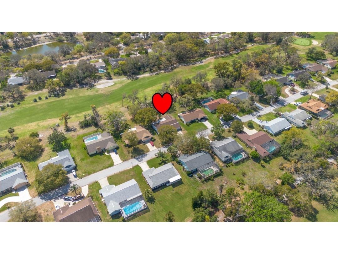 8210 Valley Stream Lane Hudson FL 34667 W7883809 image35