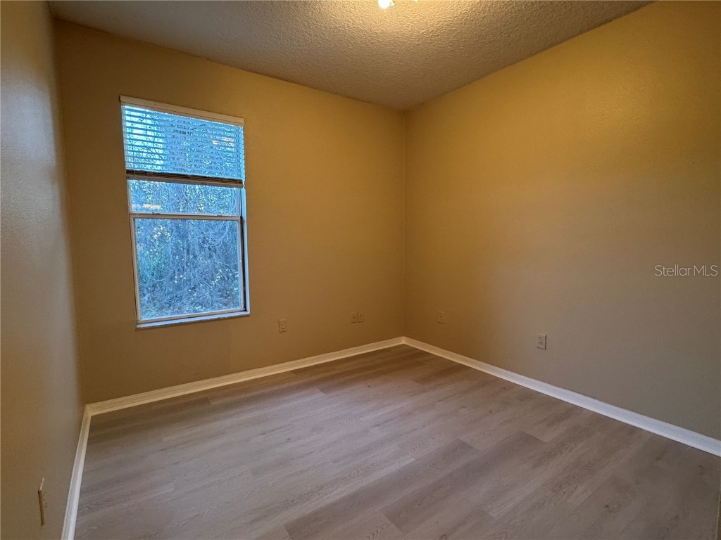 8210 Whistling Pine Way Tampa FL 33647 TB8454470 image32