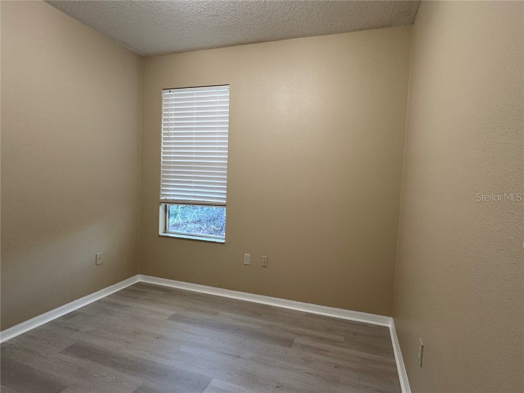 8210 Whistling Pine Way Tampa FL 33647 TB8454470 image35