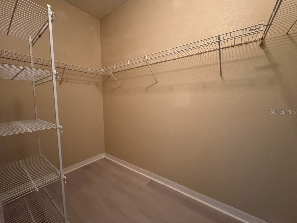 8210 Whistling Pine Way Tampa FL 33647 TB8454470 image41