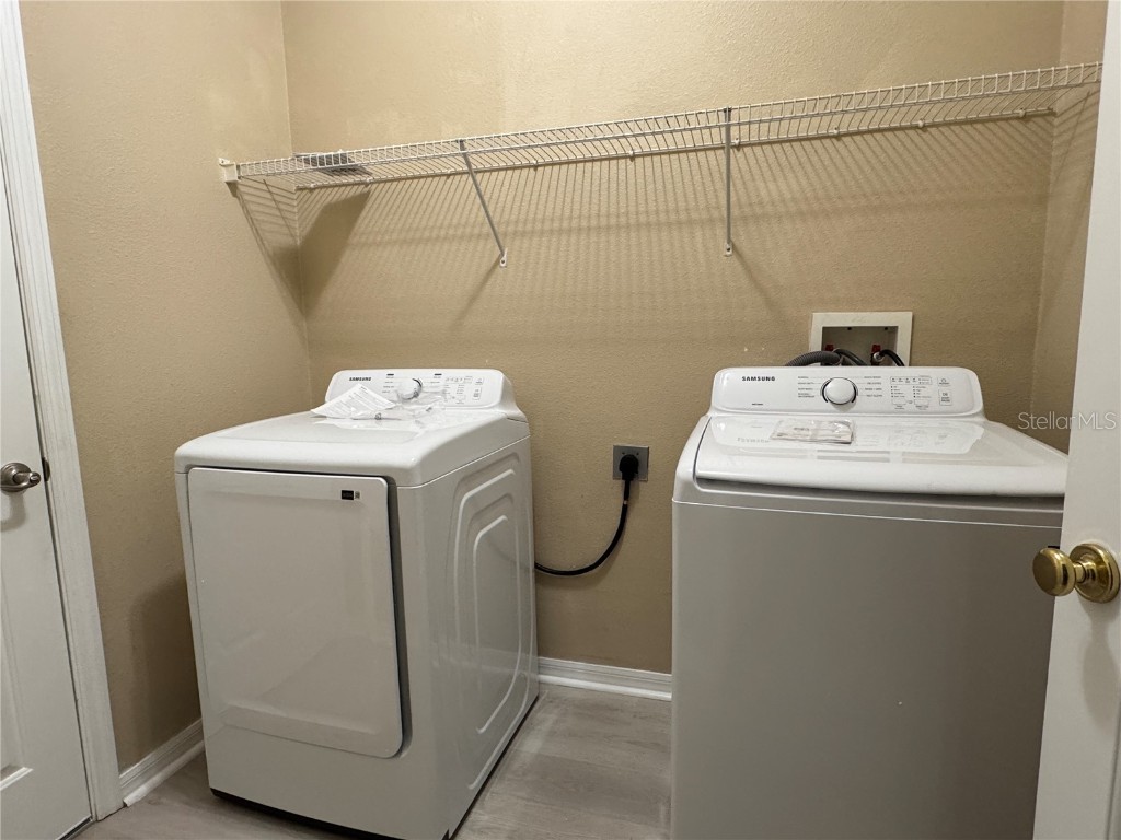 8210 Whistling Pine Way Tampa FL 33647 TB8454470 image42