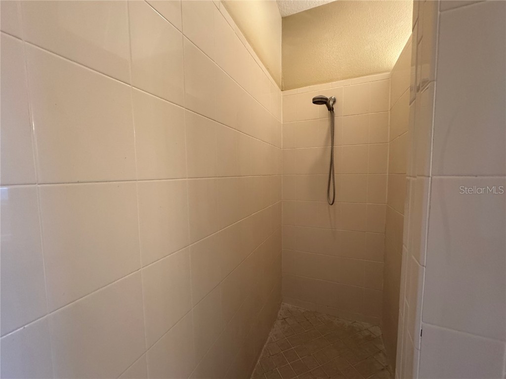 8210 Whistling Pine Way Tampa FL 33647 TB8454470 image43