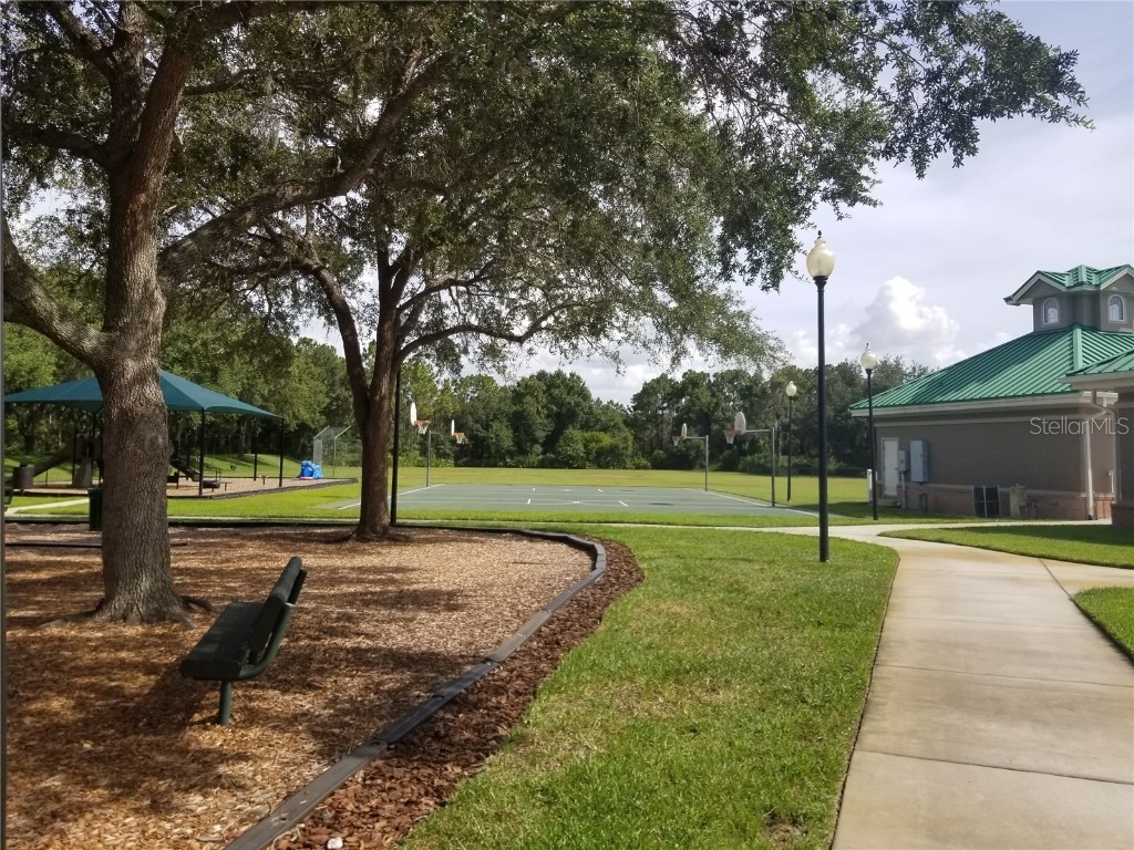 8210 Whistling Pine Way Tampa FL 33647 TB8454470 image48