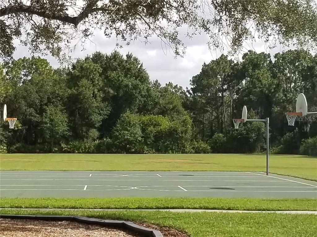 8210 Whistling Pine Way Tampa FL 33647 TB8454470 image49