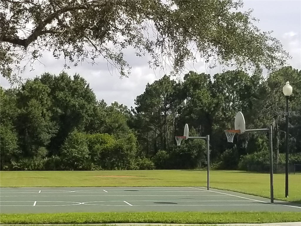 8210 Whistling Pine Way Tampa FL 33647 TB8454470 image50