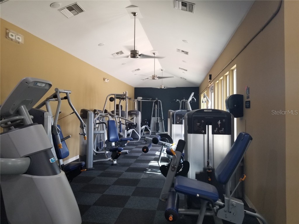 8210 Whistling Pine Way Tampa FL 33647 TB8454470 image60