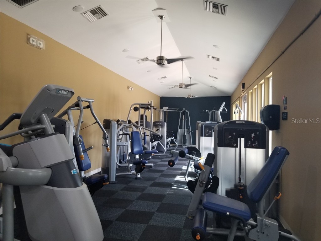 8210 Whistling Pine Way Tampa FL 33647 TB8454470 image62