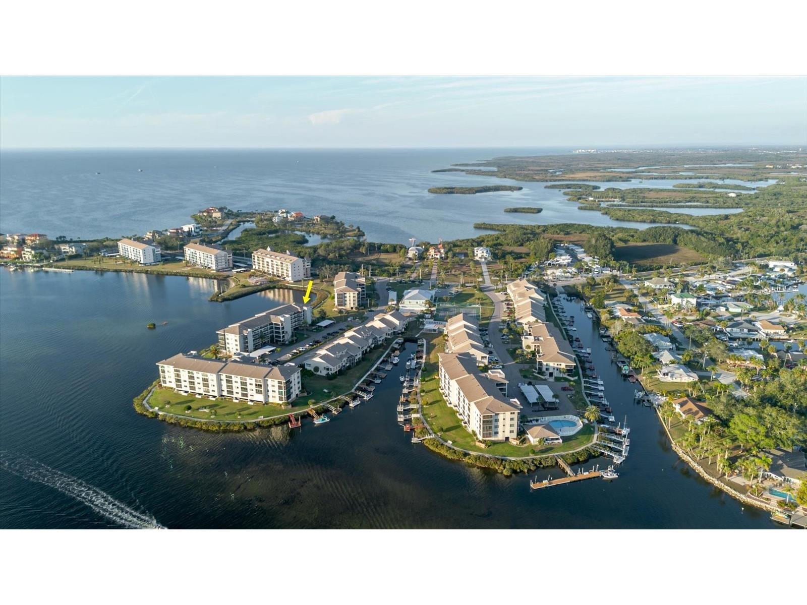 8211 Brent Street #828 Port Richey FL 34668 - GULF OF AMERICA TB8460367 image17