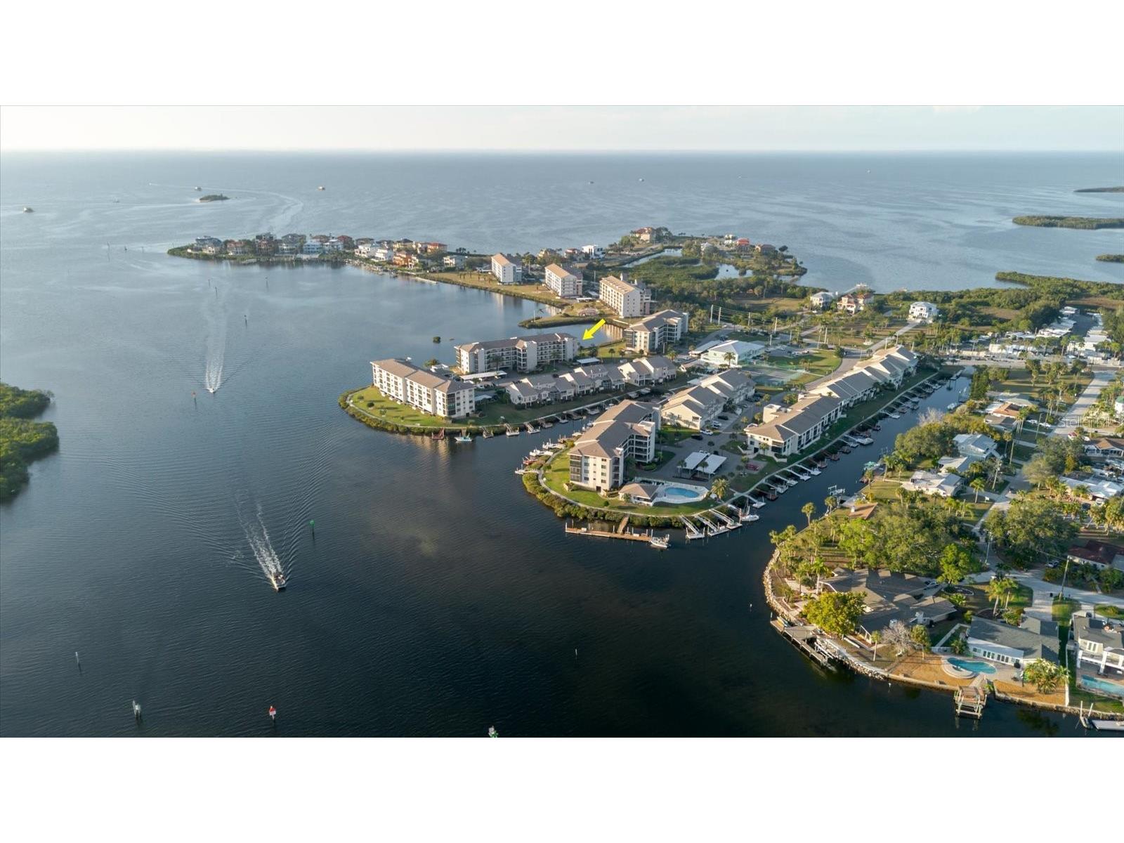 8211 Brent Street #828 Port Richey FL 34668 - GULF OF AMERICA TB8460367 image2