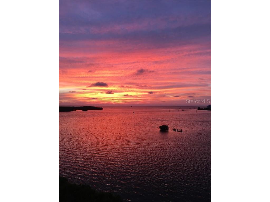 8211 Brent Street #837 Port Richey FL 34668 - GULF OF MEXICO PITHLACHASCOTEE RIVER W7874343 image77